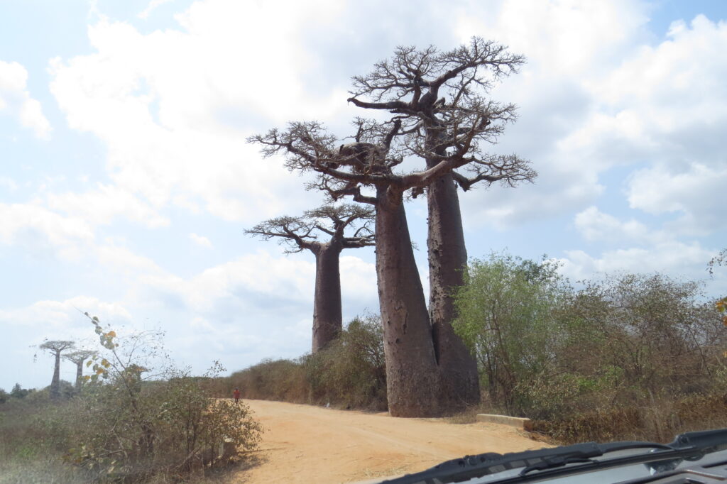 Voyage à Madagascar avec chauffeur guide