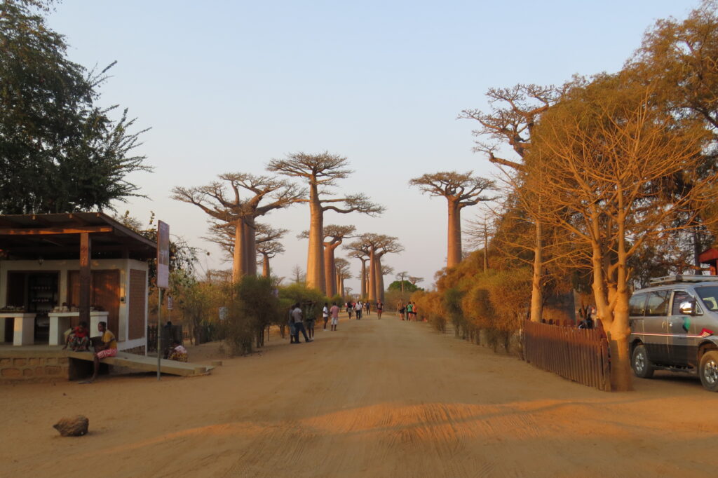 Voyage à Madagascar avec chauffeur guide